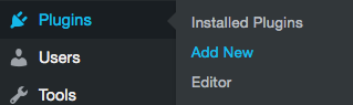 Plugins > Add New