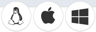 Monitored Computer OS Icon