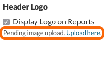 Custom Logo on Reports