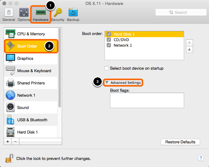 Virtual Machine Configuration: Hardware > Boot Order > Advanced Settings